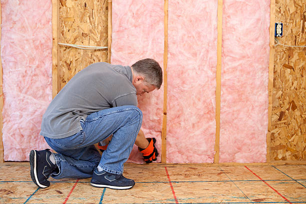 Best Insulation Installation Services in Swoyersville, PA